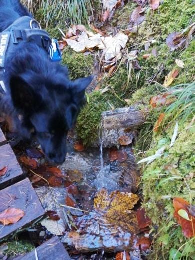 Piccola mansarda nelle Dolomiti Apartment in Friuli-Venezia Giulia