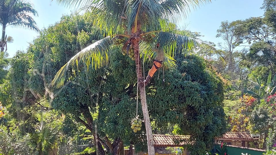 Garden, Garden view