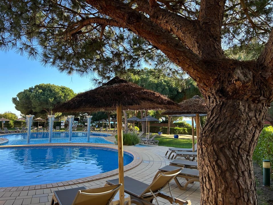 Garden, Garden view, Pool view, Swimming pool, sunbed