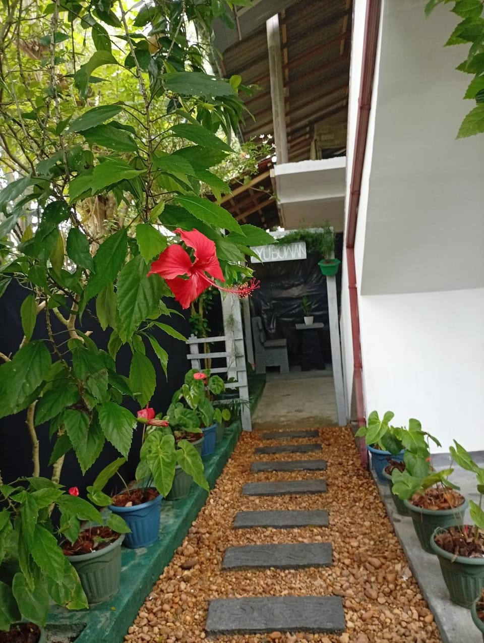 Spring, Garden, Garden, Garden view
