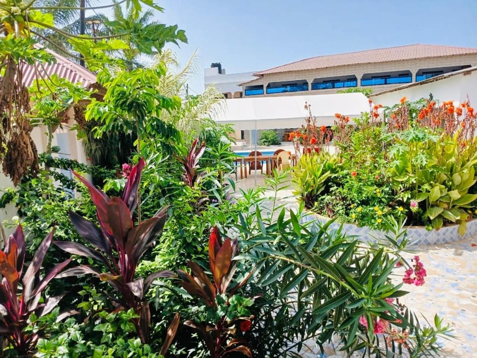 Garden, Garden, Garden view, Garden view