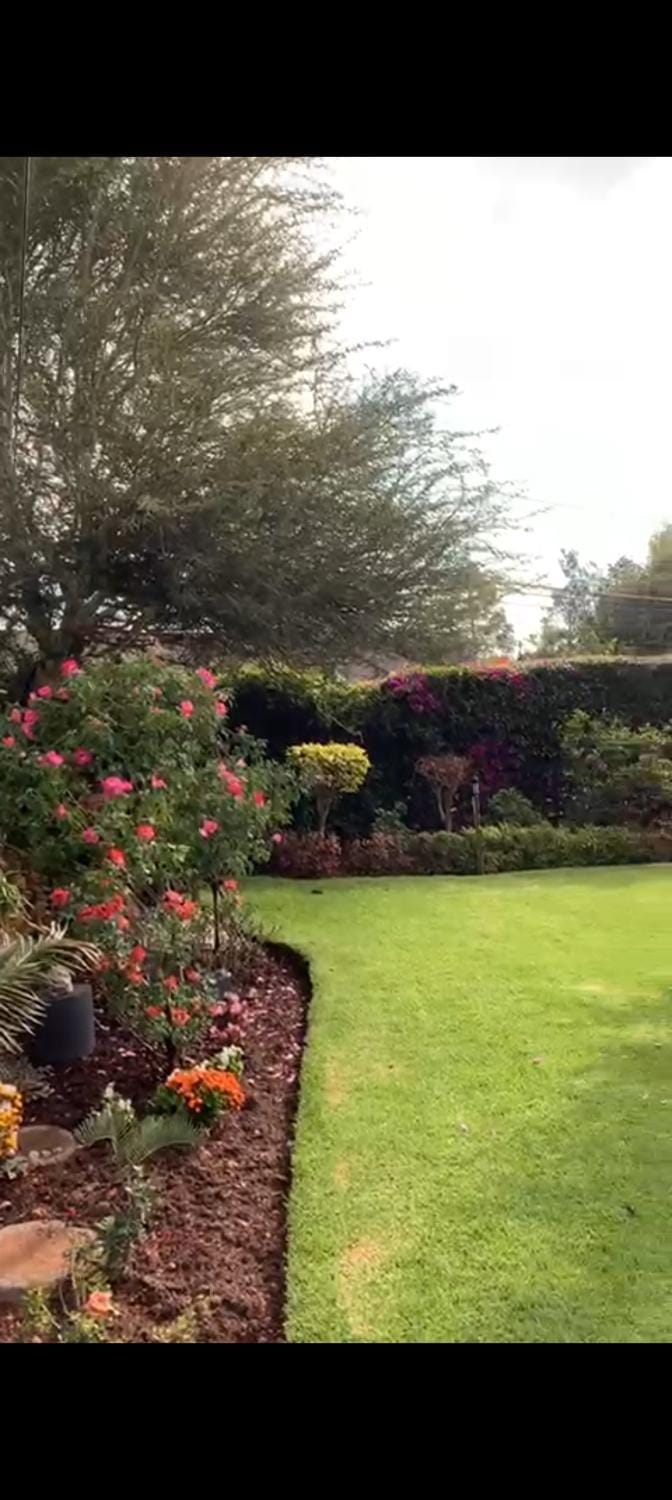 Garden, Garden view