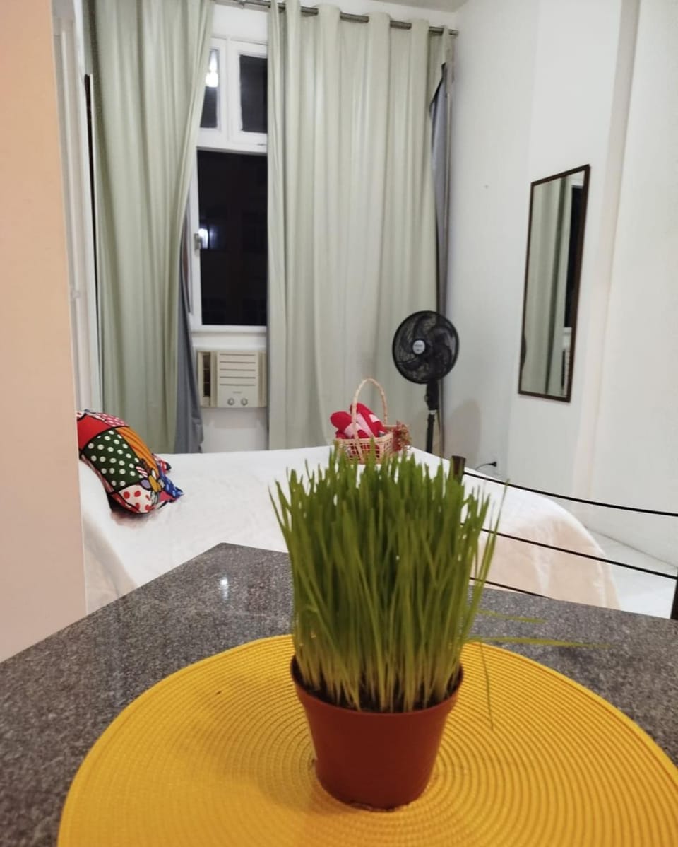 Ensueños8 Apartment in Rio de Janeiro