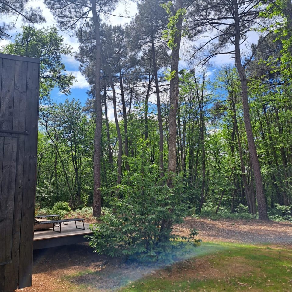 Natural landscape, Garden, Garden view