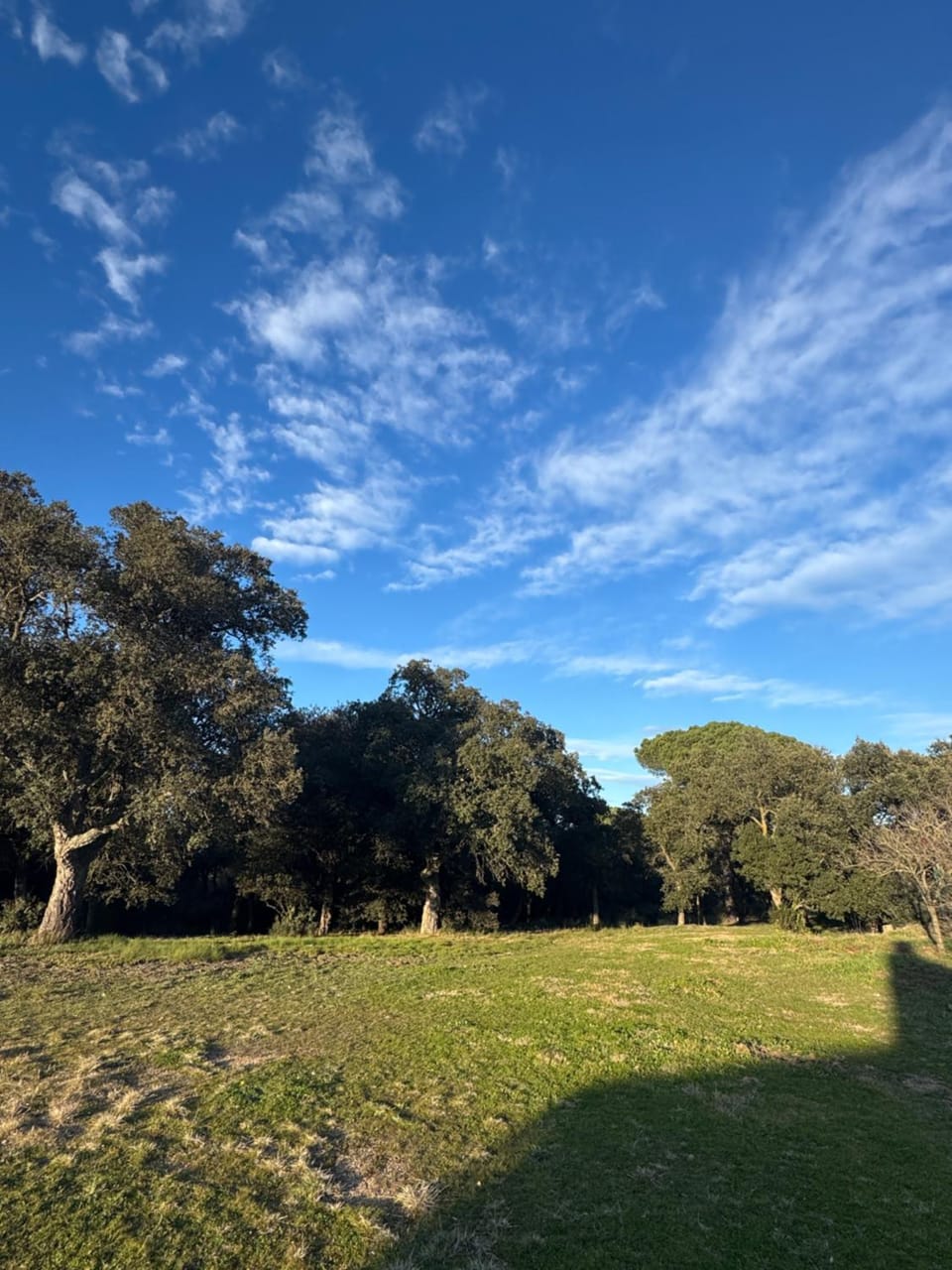 Patio, Off site, Day, Natural landscape