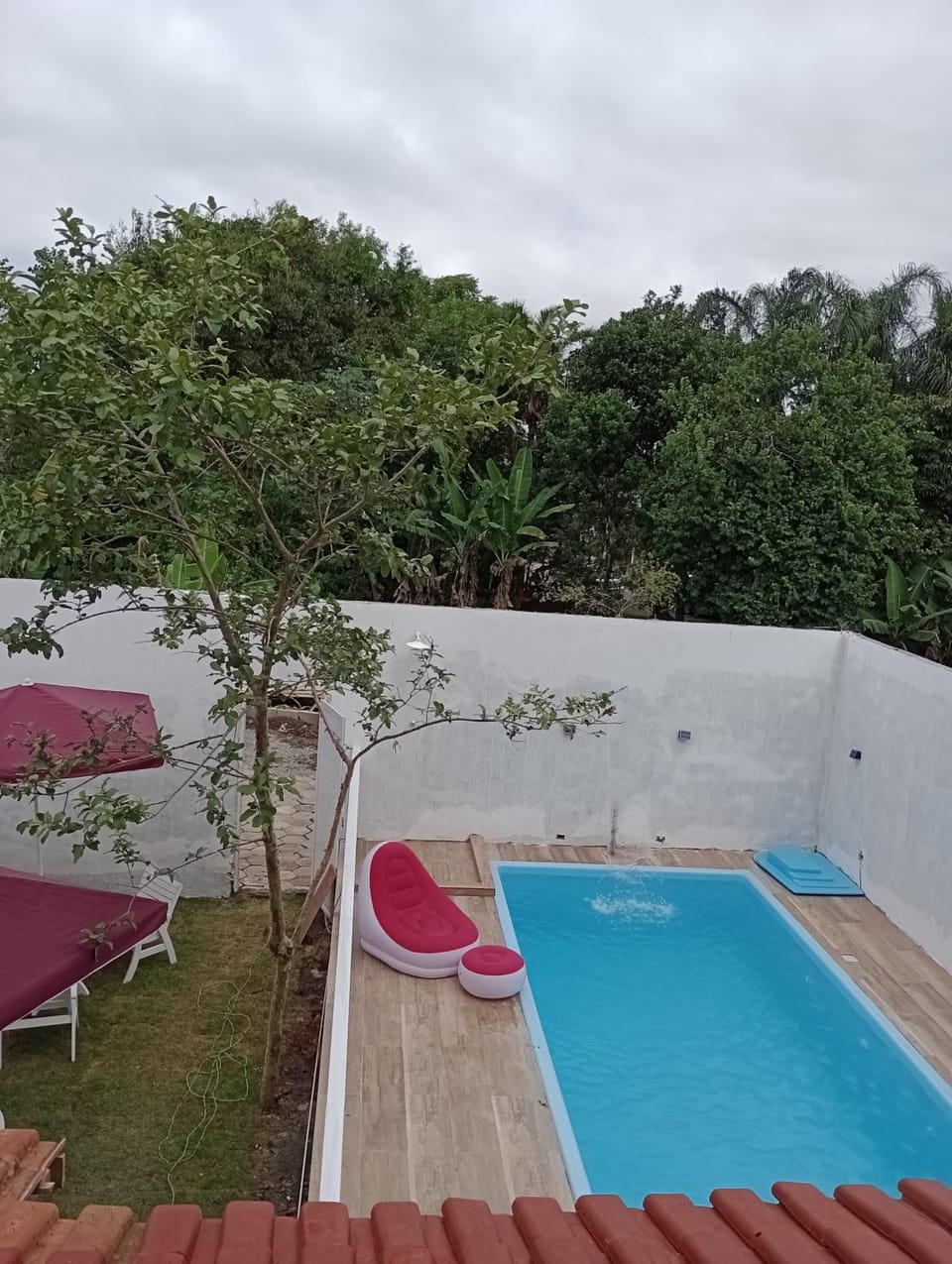 Day, Garden, Garden view, Pool view, Swimming pool, sunbed