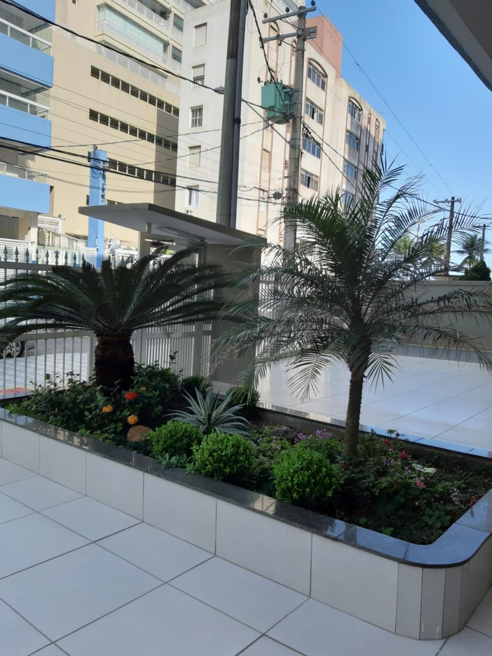 Garden view