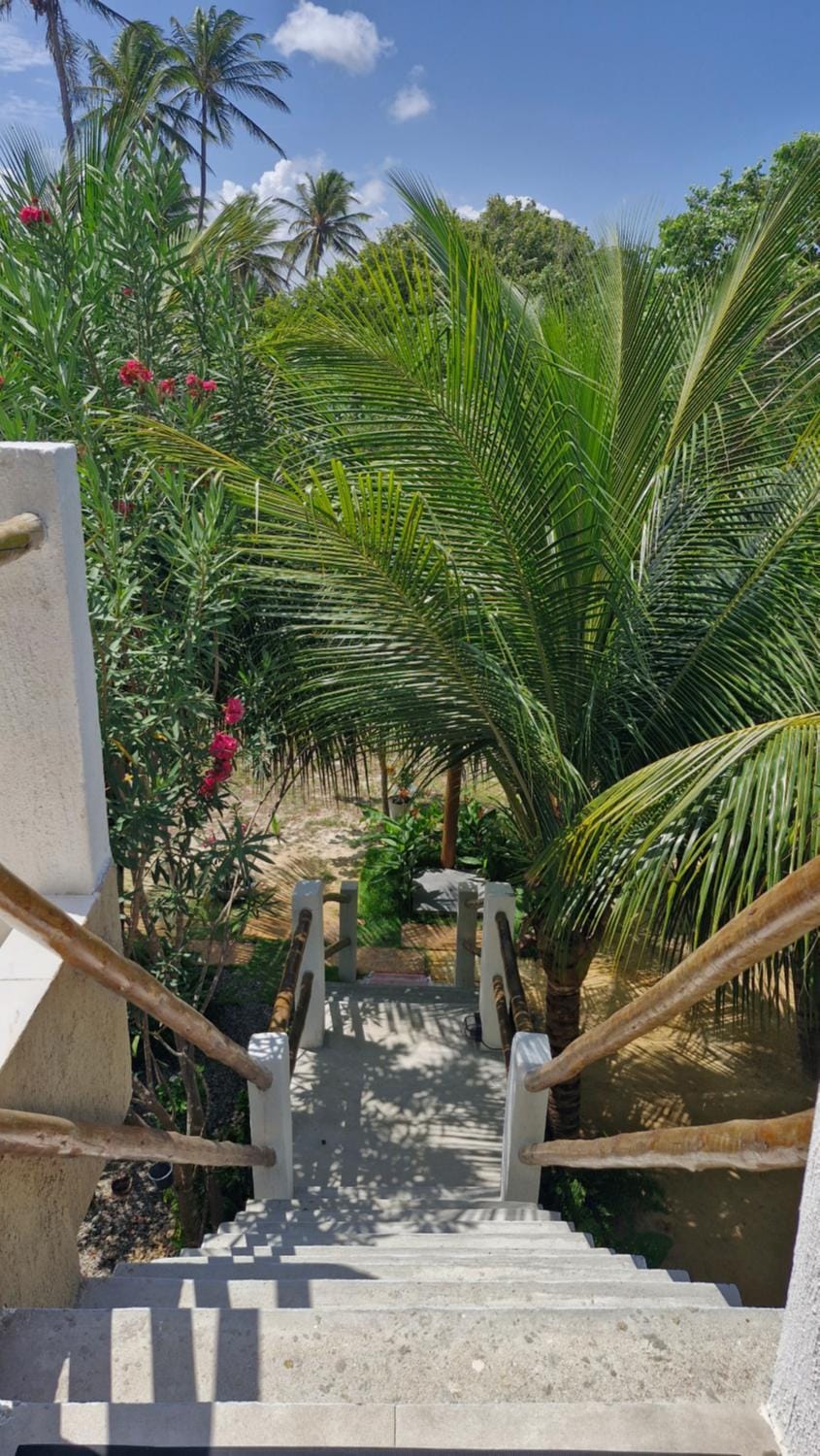 Day, Garden, Garden view