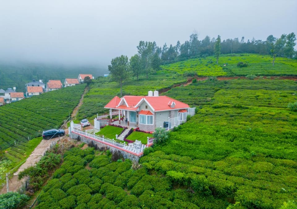 Property building, Bird's eye view, Garden, Garden view, Mountain view