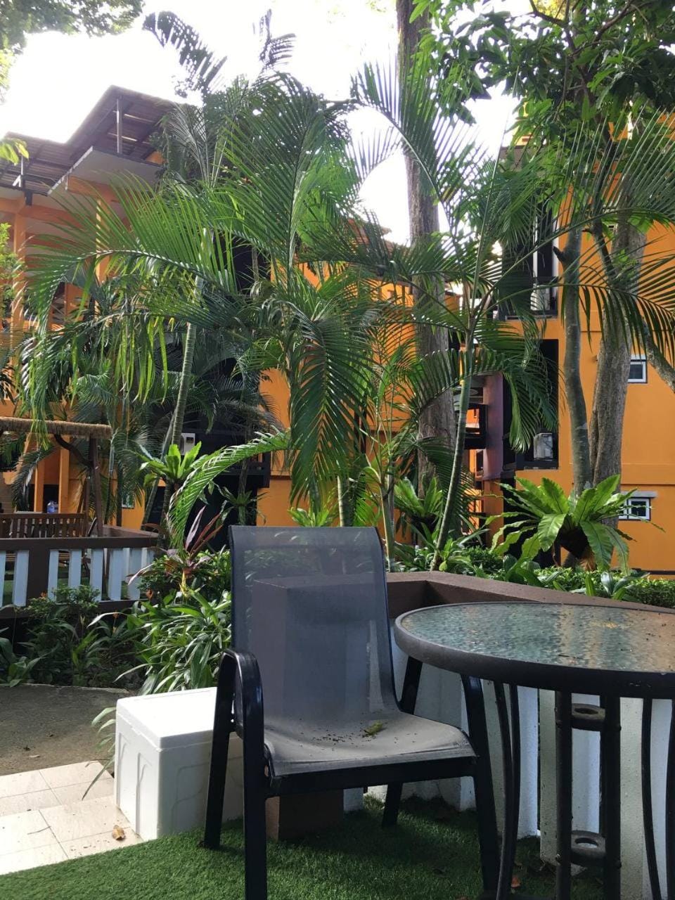 Garden