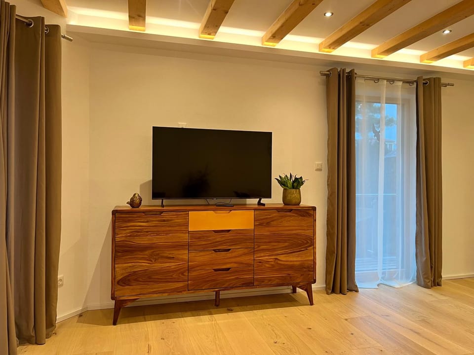 TV and multimedia