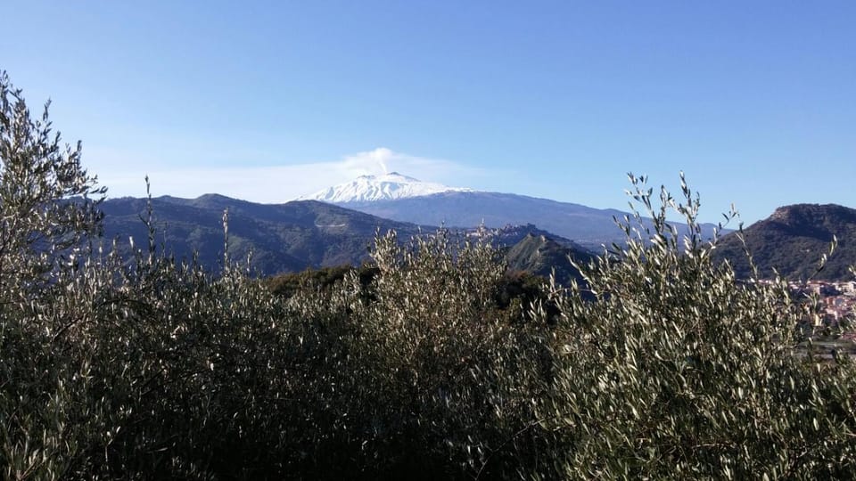 Nearby landmark, Natural landscape, Horse-riding, Hiking, Cycling, On site