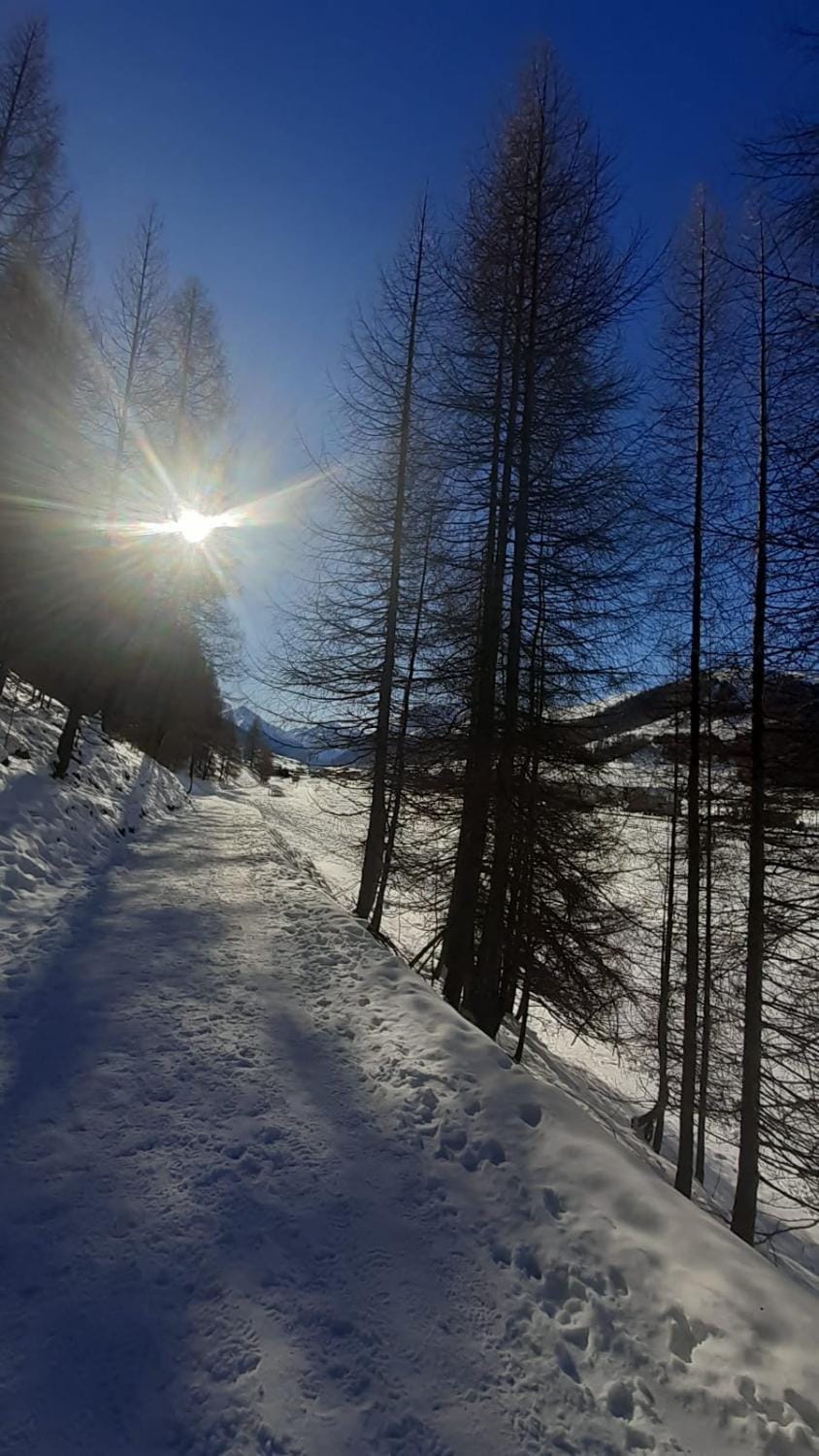 Valdidentro sweet home Apartment in Lombardy
