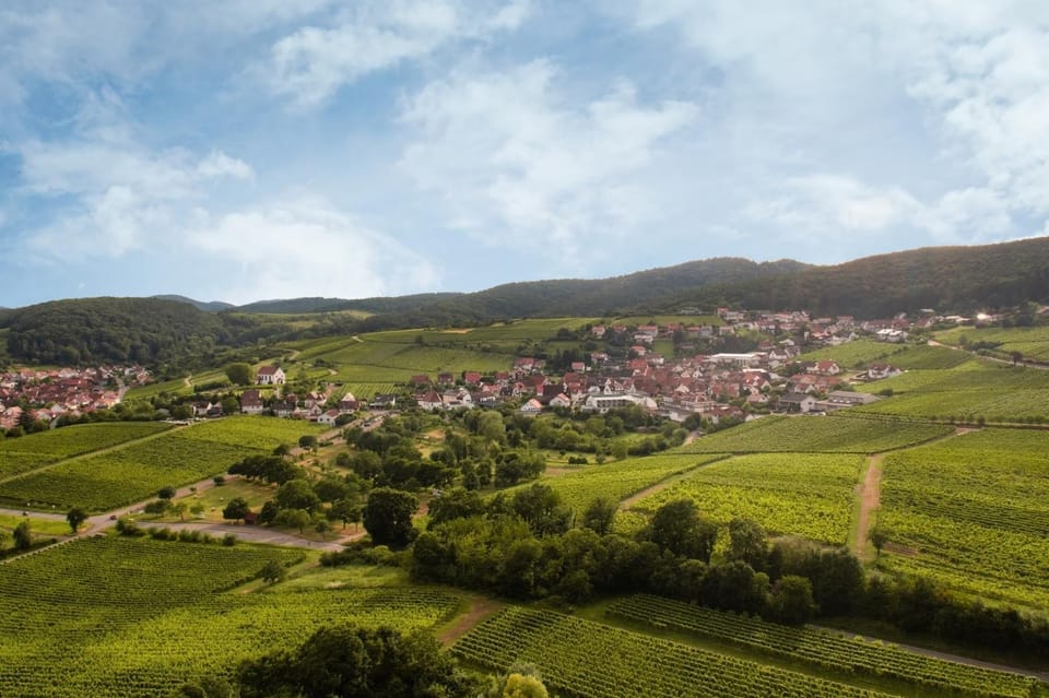 Winzerlodge, Wohnung Kirchberg Apartment in Rhineland-Palatinate