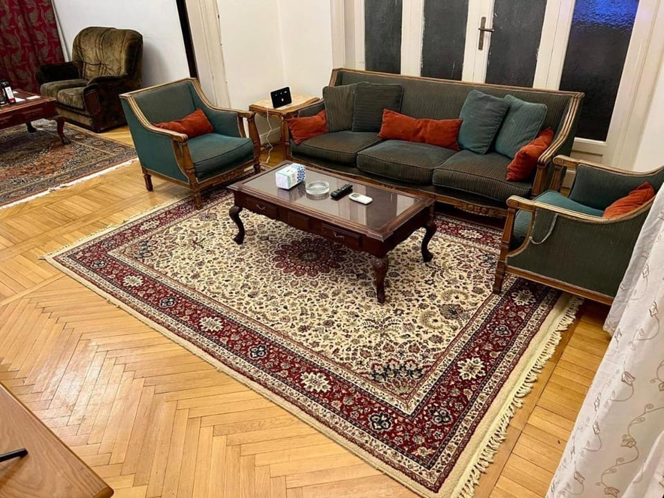 Nile View 1950s spacious apartment - Giza Apartment in Cairo