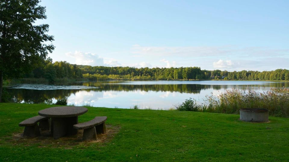 Lake view