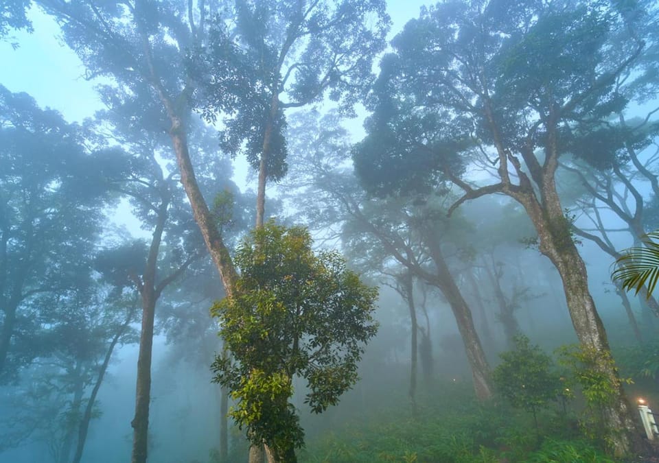 Spring, Day, Natural landscape