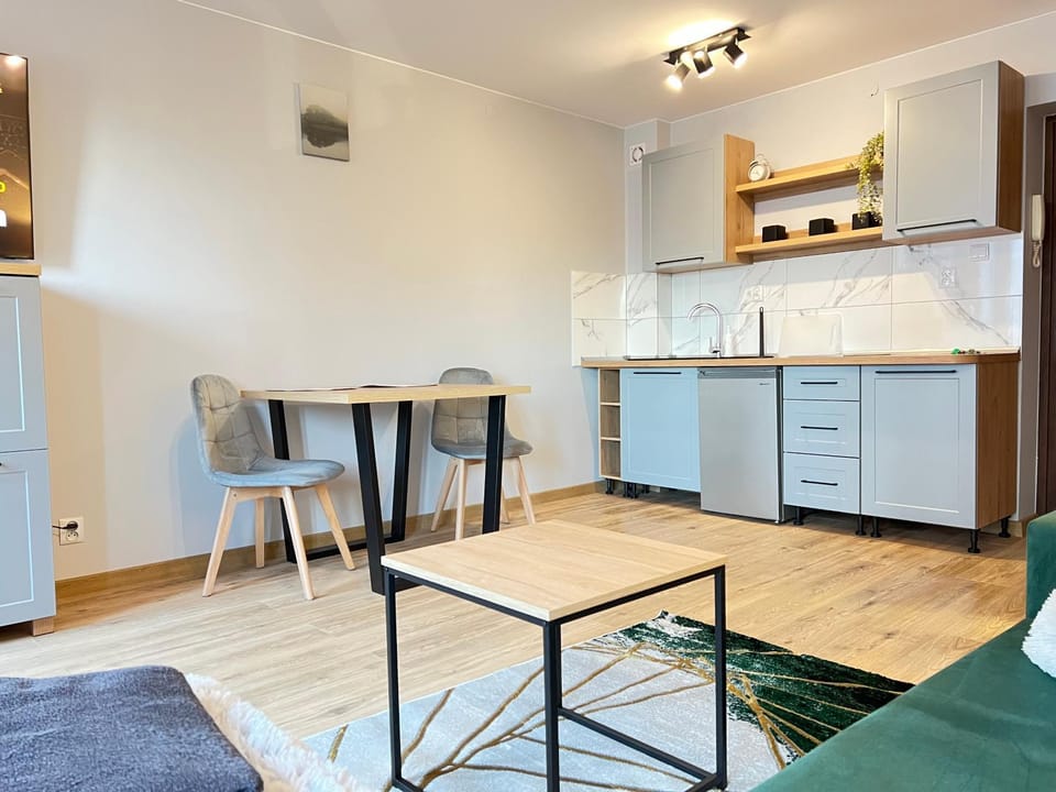 Kawalerka w mieście 65 Apartment in Masovian Voivodeship