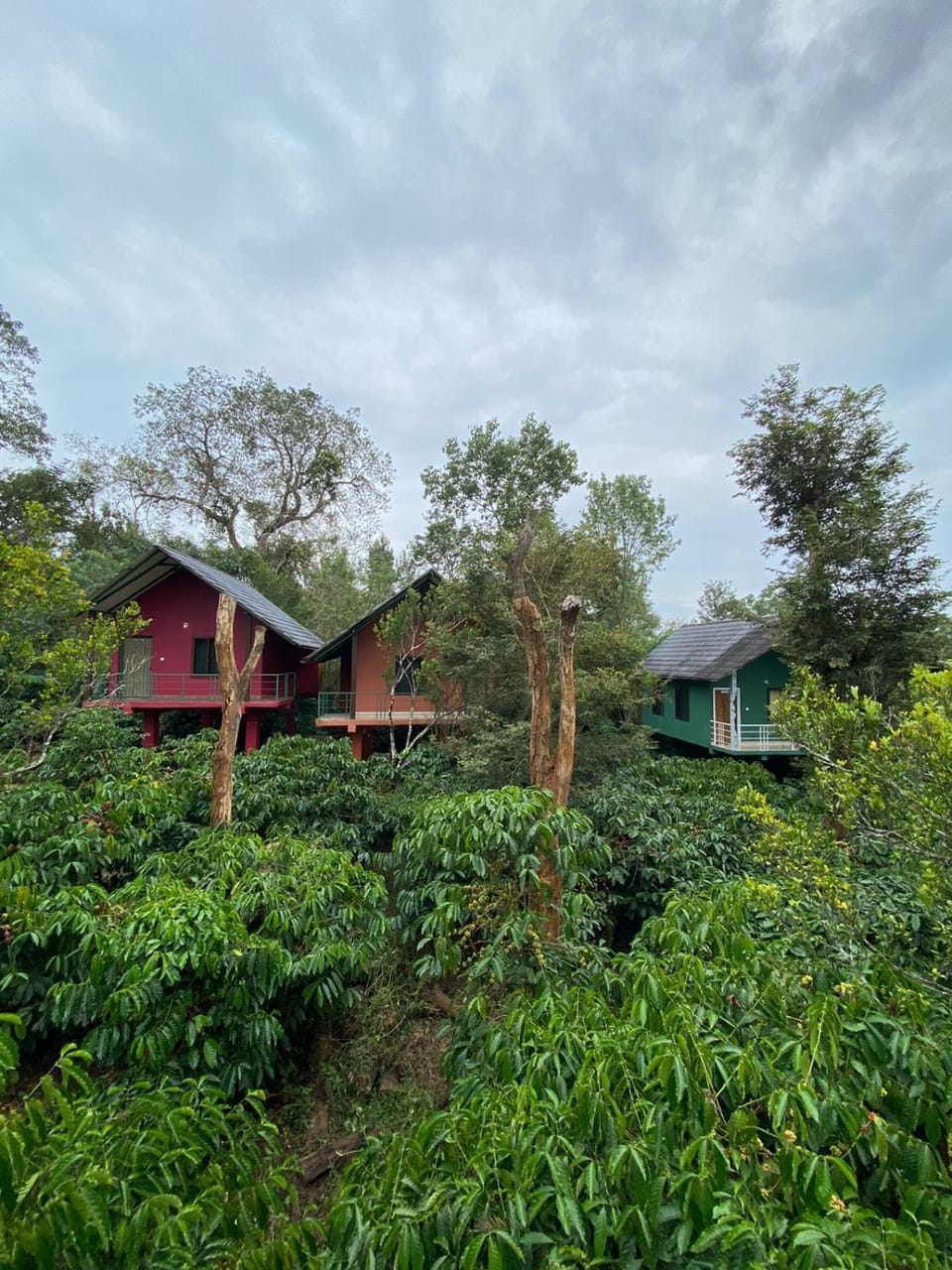 Property building, Natural landscape