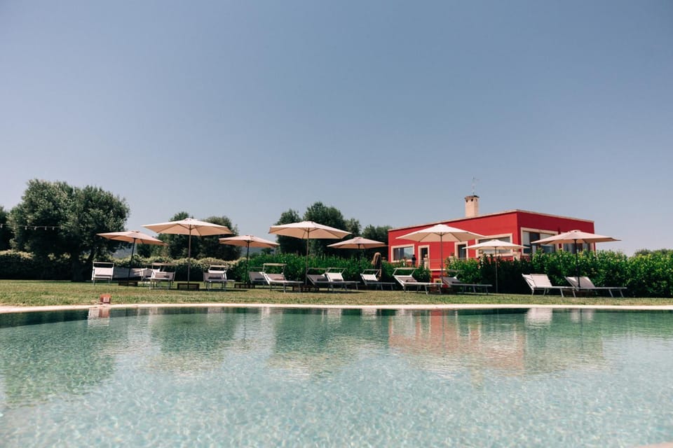 Property building, Natural landscape, Garden, Garden view, Pool view, Swimming pool, sunbed
