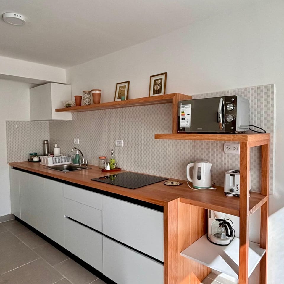 Aiila House Apartment in Esquel