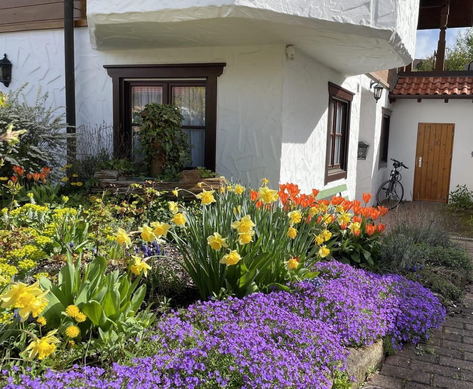 Property building, Facade/entrance, Garden