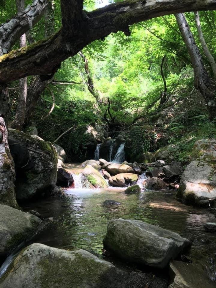 Hiking