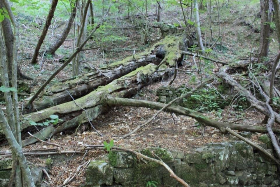Hiking