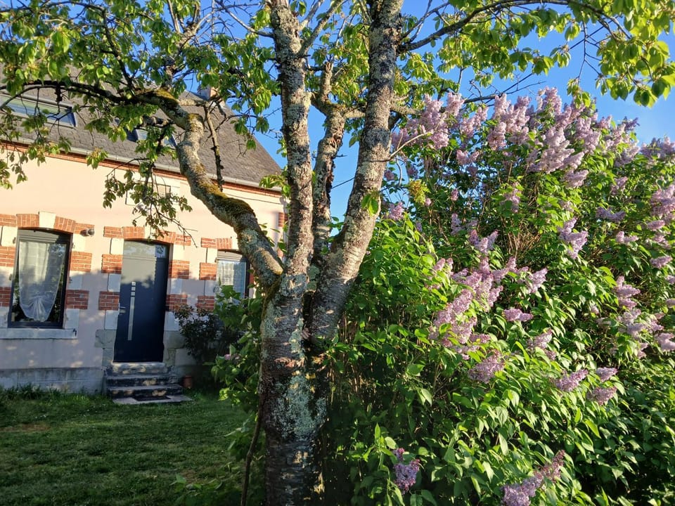 Logement dans la campagne nérisienne Apartment in Auvergne-Rhône-Alpes