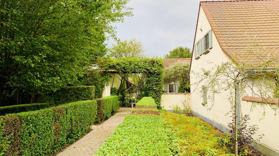Garden view