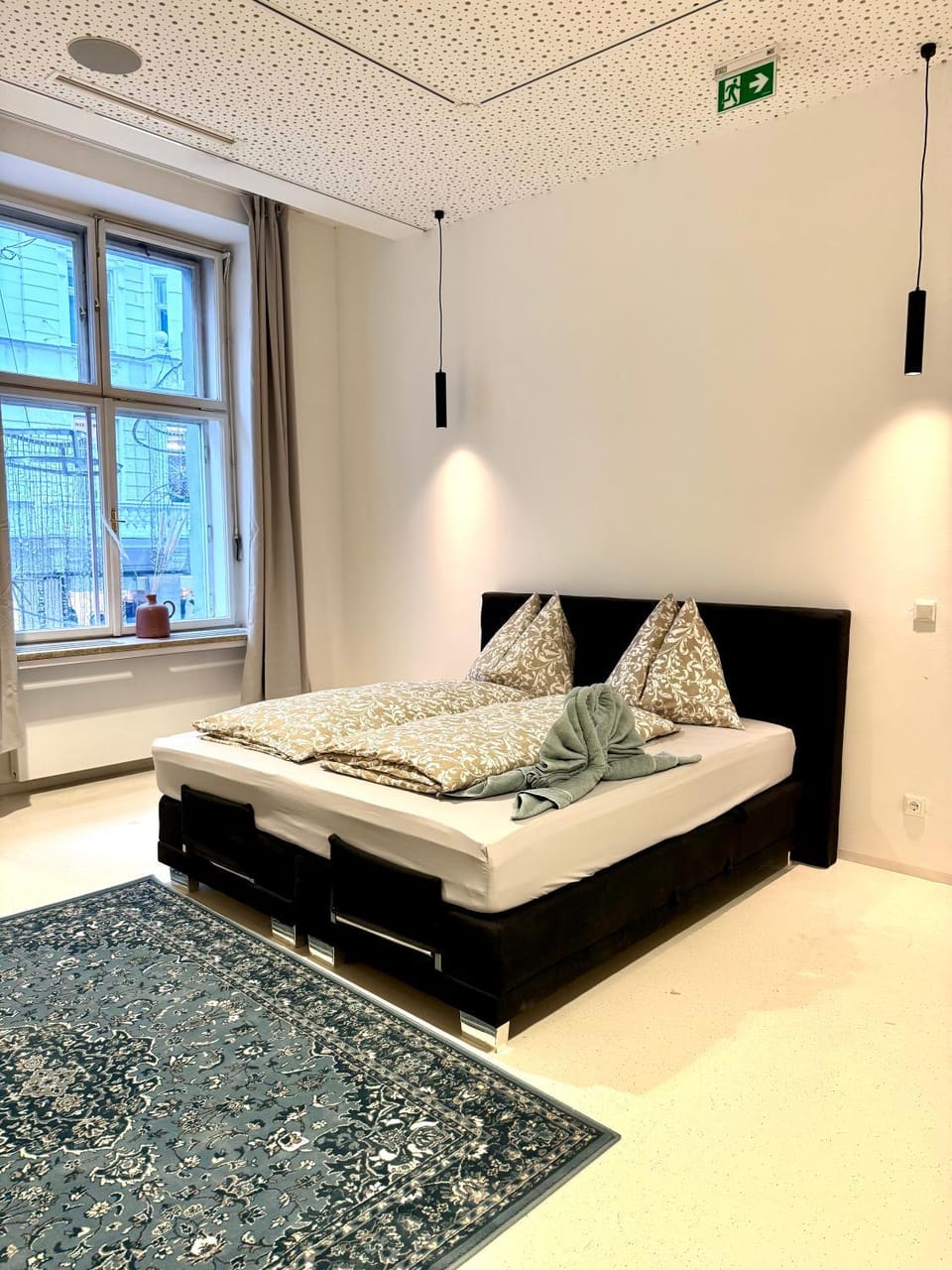 Central Opera Apartment 140 m2 Apartment in Vienna