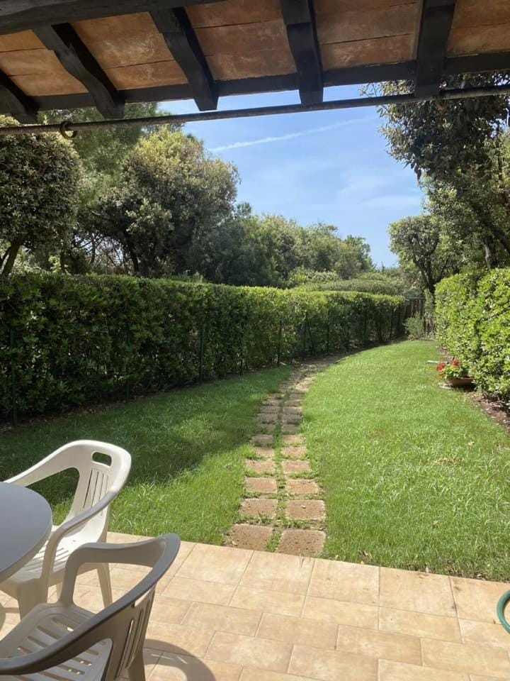 Patio, Garden, Garden, Garden view