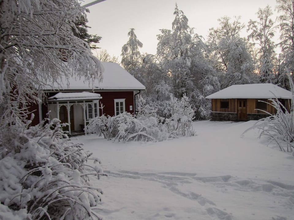 Winter