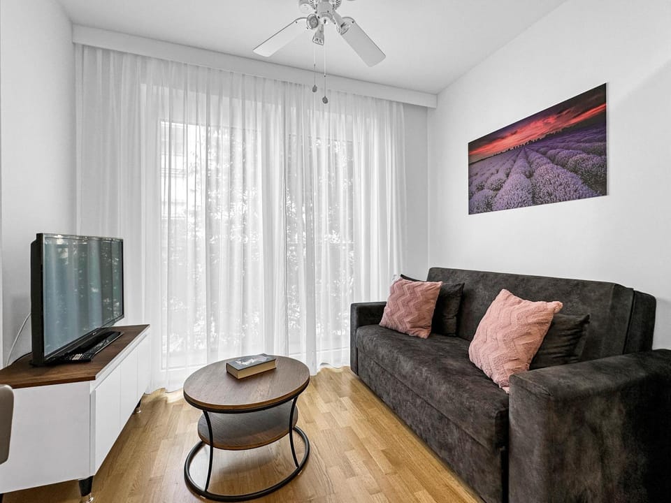 TV and multimedia, Living room