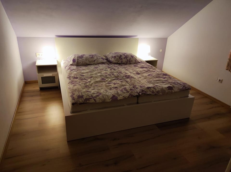 Spacious Countryside Flat - 25 minutes from Ljubljana Apartment in Slovenia