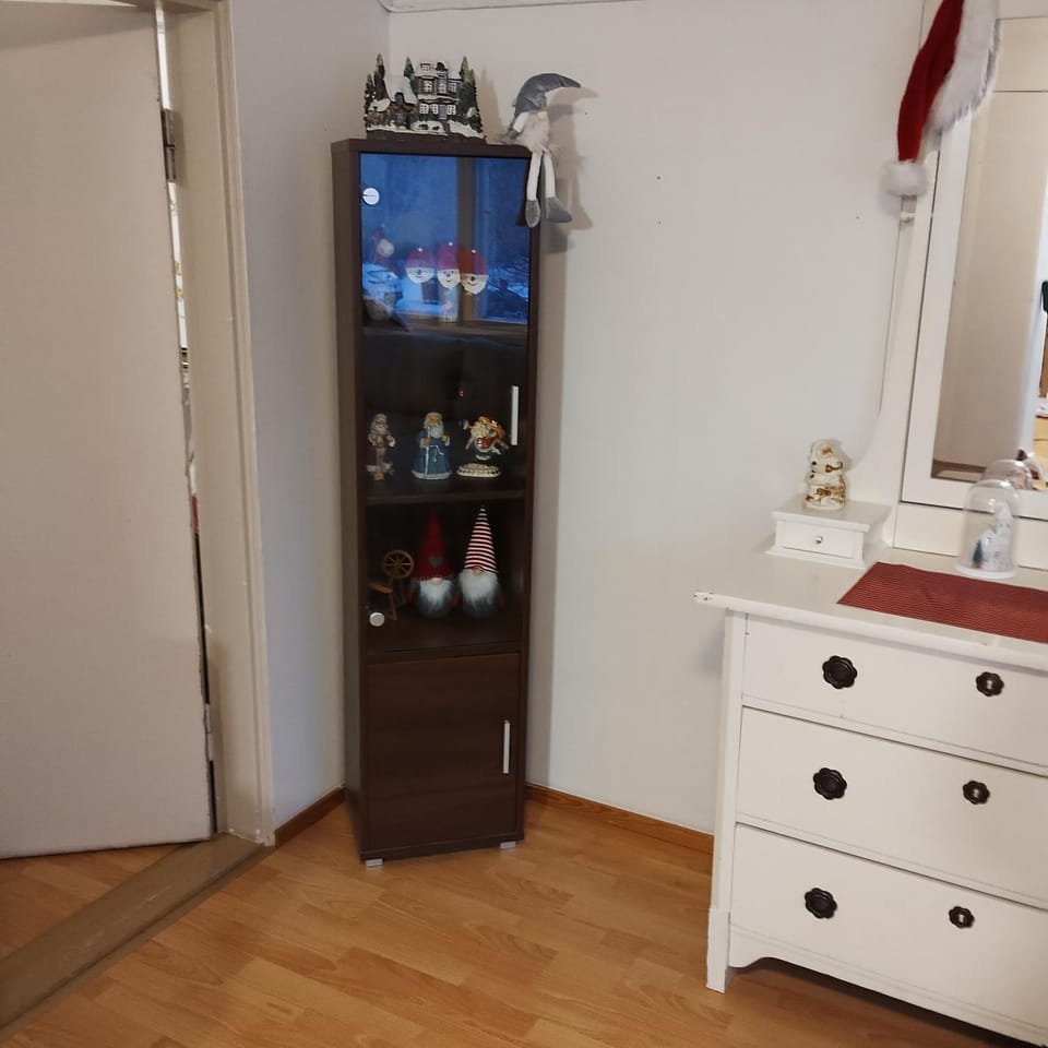 Northern Charm Studio Apartment in Rovaniemi
