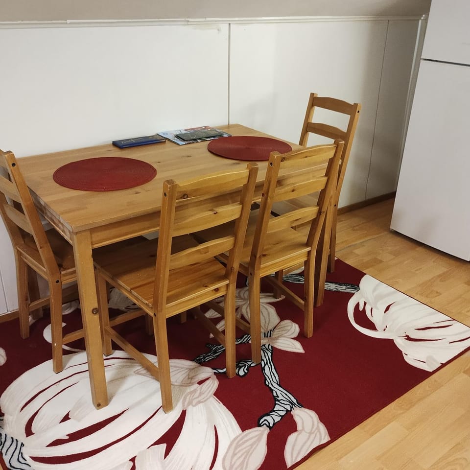 Northern Charm Studio Apartment in Rovaniemi