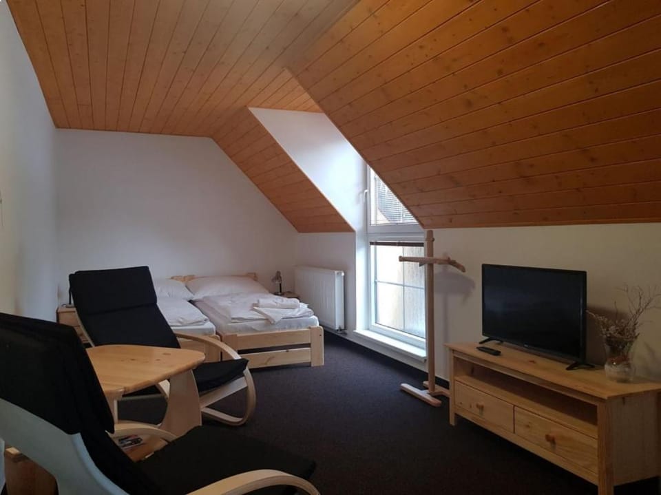 Penzion Přemyslov Bed and Breakfast in Czechia