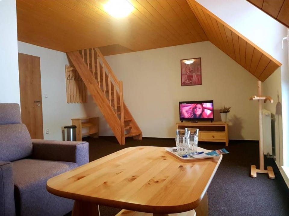 Penzion Přemyslov Bed and Breakfast in Czechia