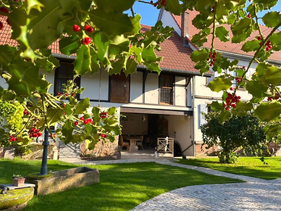 Property building, Garden view