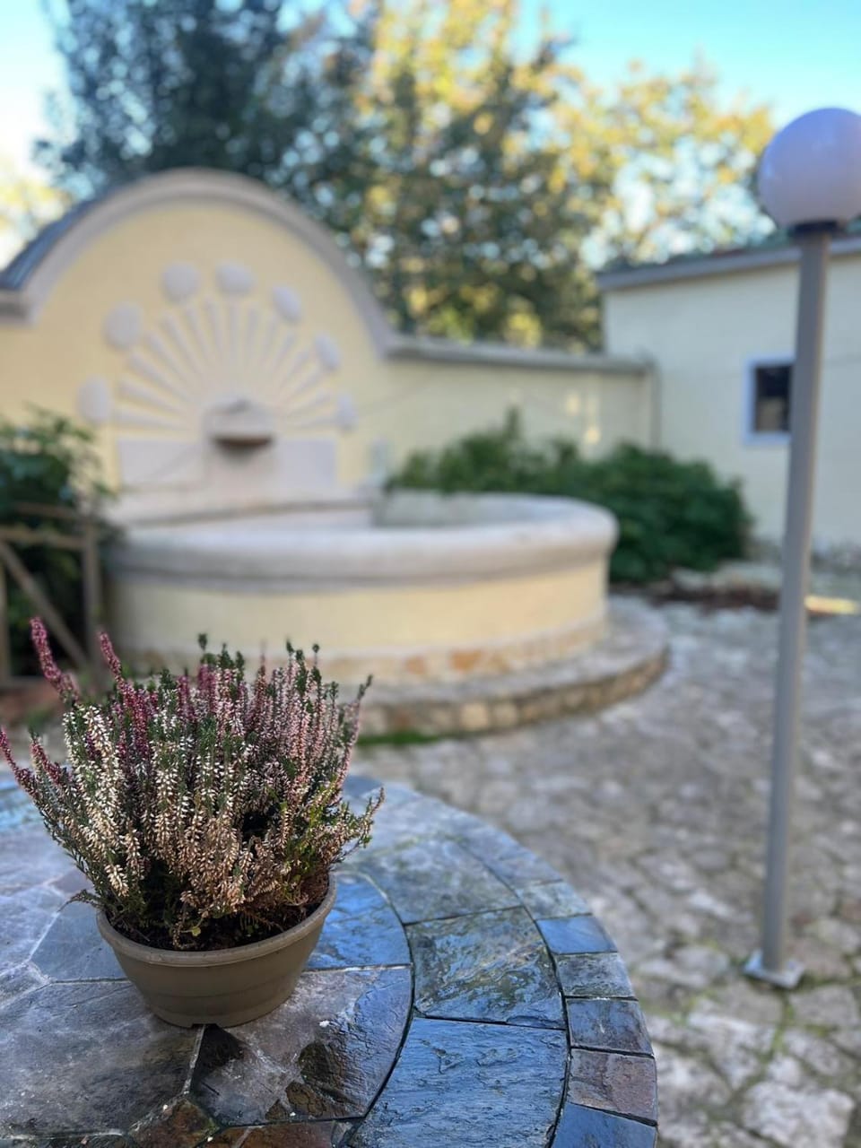 Garden, Garden view