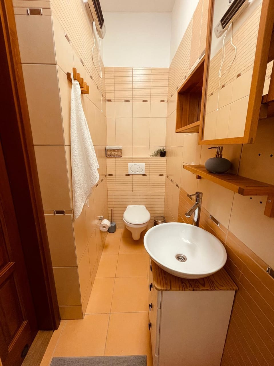 Toilet, Bathroom