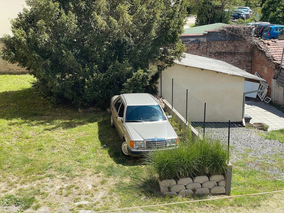 Garden, Garden view, Parking