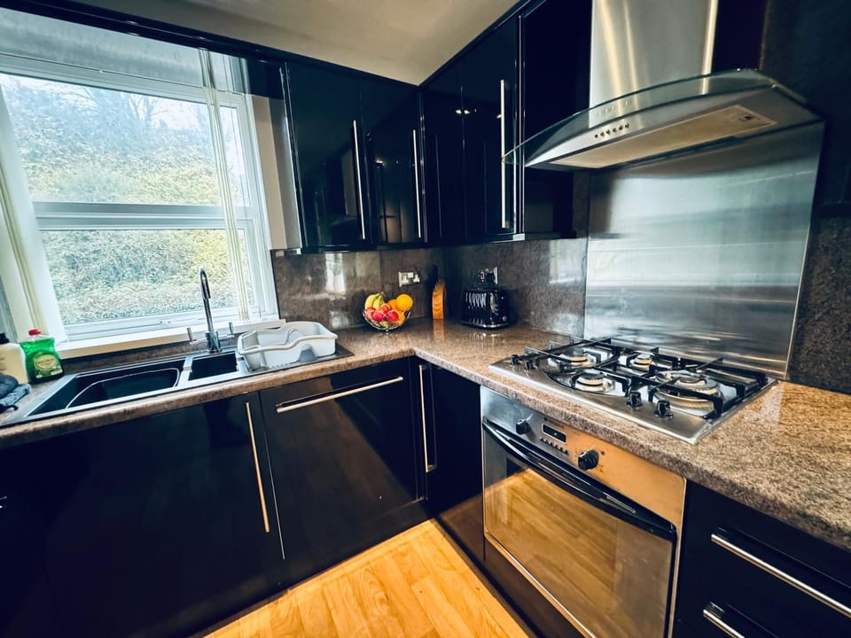 Kitchen or kitchenette, dishwasher, stove