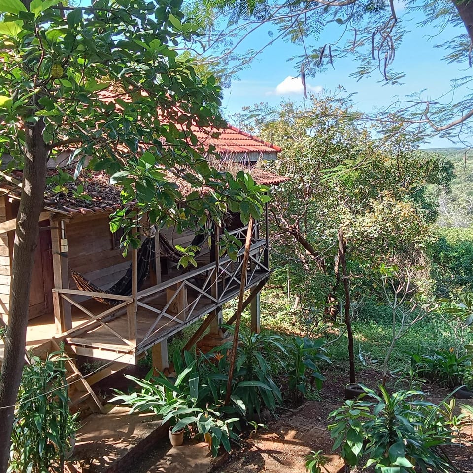 Natural landscape, Garden, Garden view