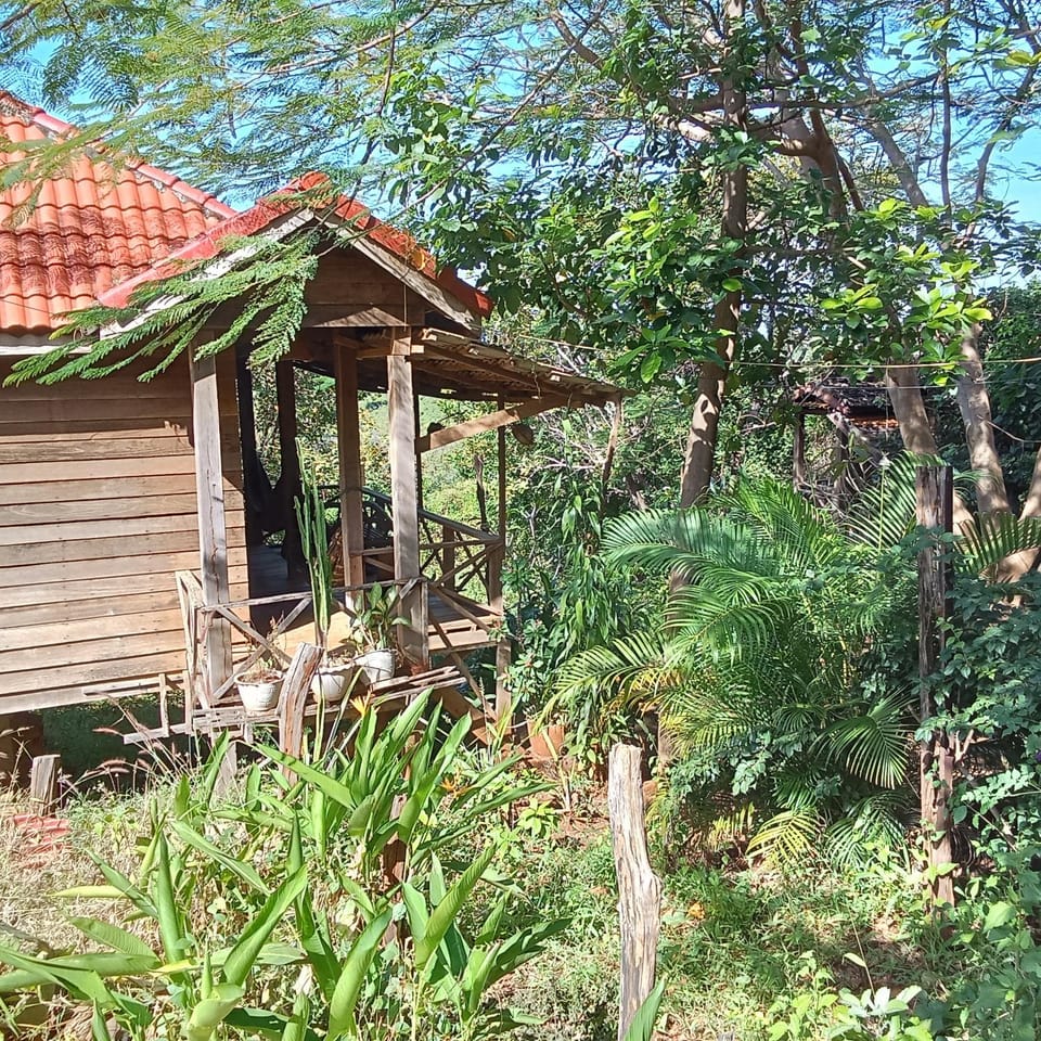 Property building, Natural landscape, Garden, Garden view