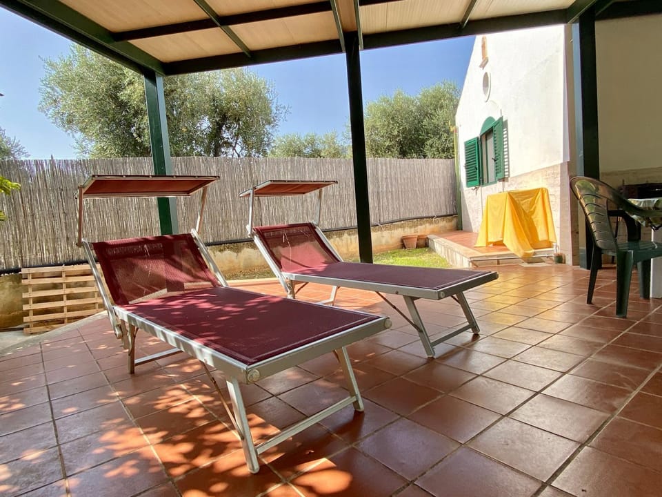 Patio, sunbed