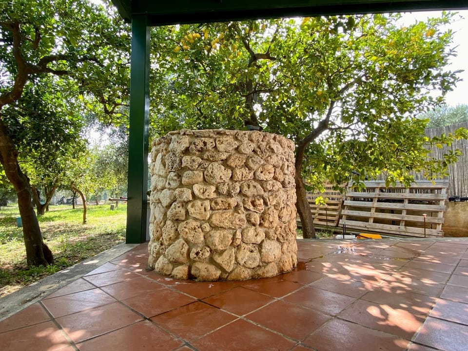 Garden, Garden view