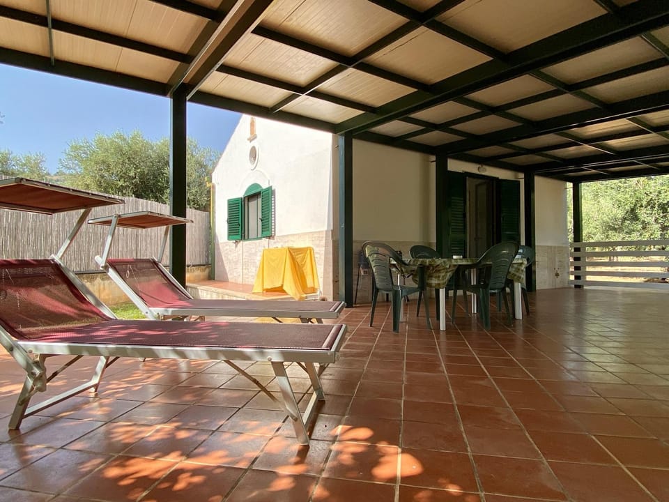 Patio, sunbed