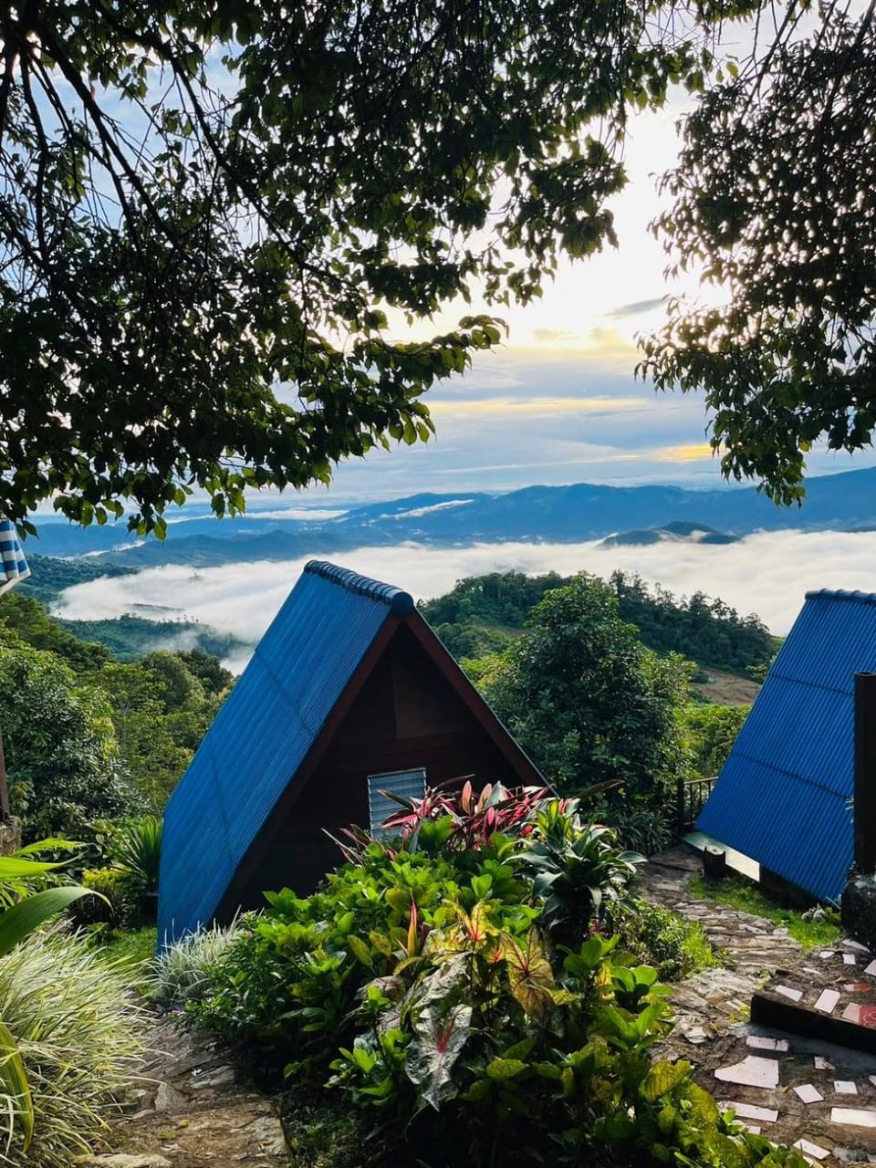 Nearby landmark, Day, Natural landscape, Garden, Garden view, Mountain view